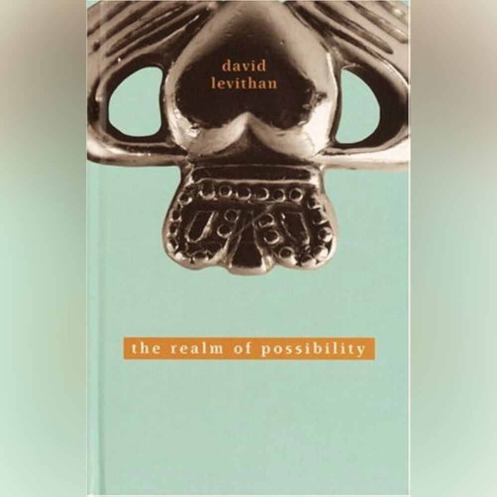 “the realm of possibility” by David Levithan